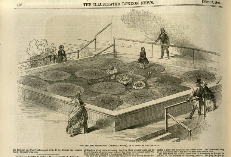 The Illustrated London News, November 17 1849