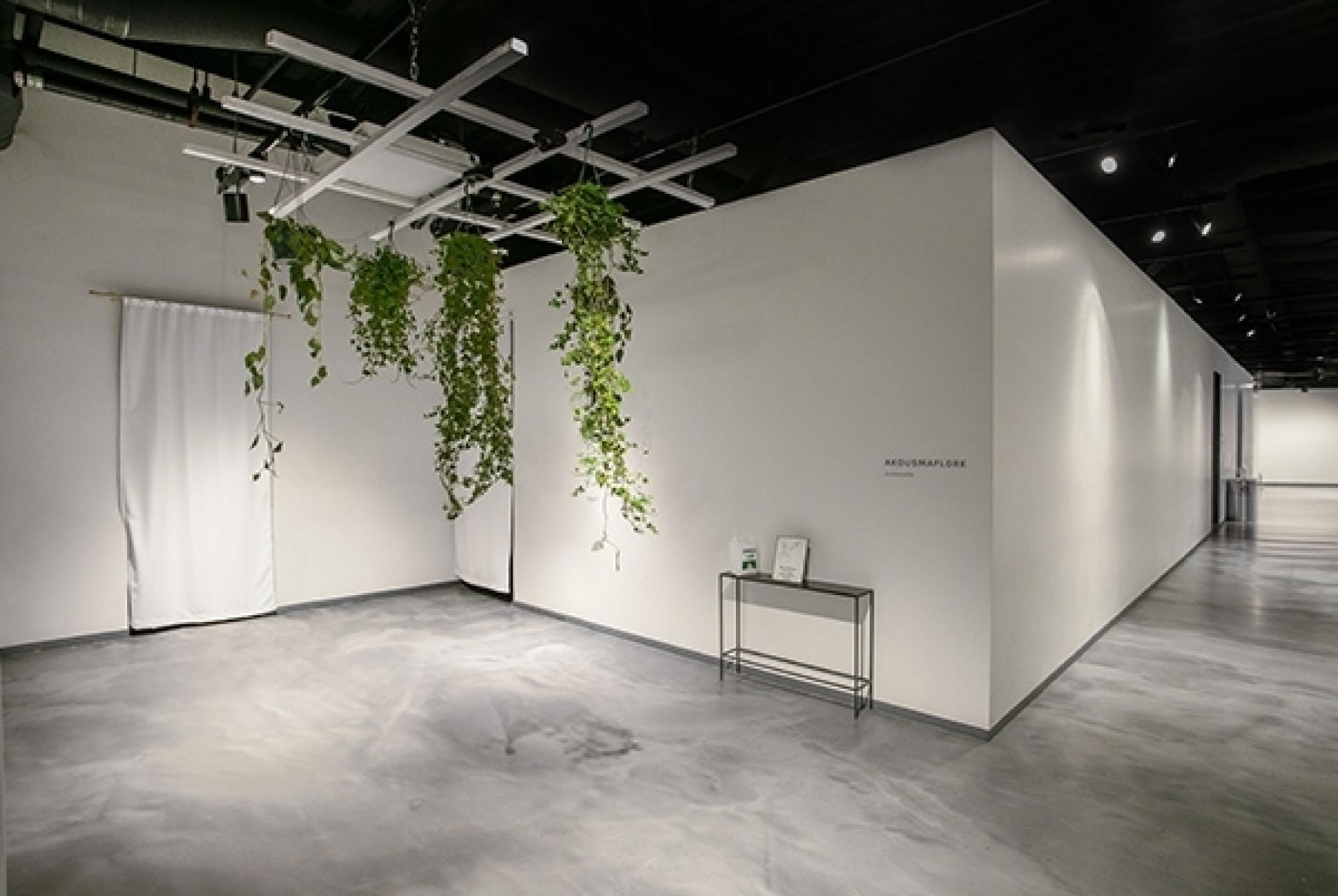 White wall interior of gallery with white sculpture and Litelab lighting